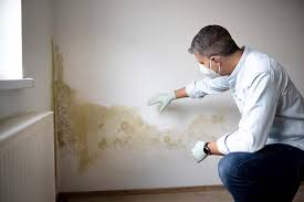 Mold Documentation for Insurance Claims in Polson, MT